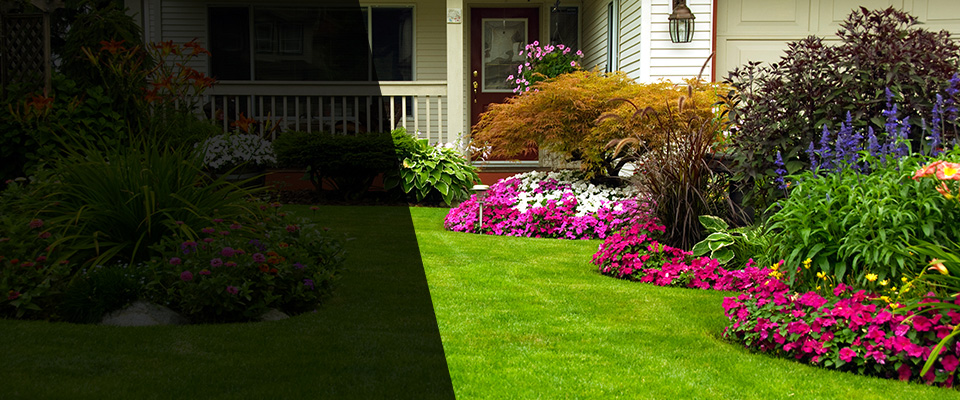 Amanda Landscapers