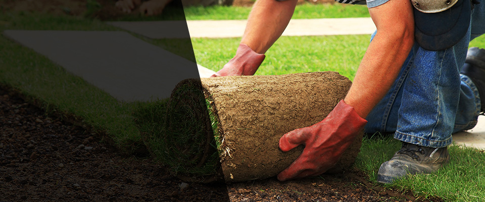 Amanda Landscapers